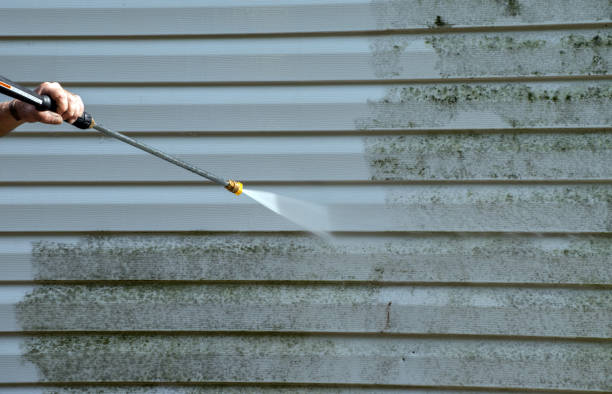 Best Dumpster Area Cleaning  in Village Of The Branch, NY
